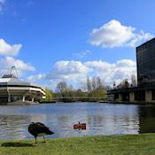 Central Hall from far end of Lake - York Conferences