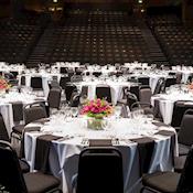 Auditorium - The Mermaid London