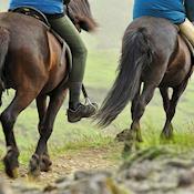 Teambuilding Activities | Montagu Arms Hotel - The Montagu Arms Hotel