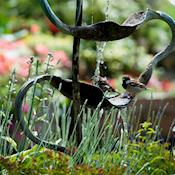 Gardens - The Montagu Arms Hotel