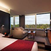 Garden King Room - Royal Garden Hotel