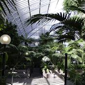 Conservatory Day - Barbican