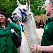 Animal Encounter - ZSL London Zoo