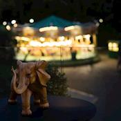 Carousel - ZSL London Zoo