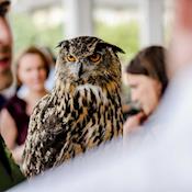 Unique Animal Encounters - ZSL London Zoo