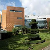 Fontwell Park Racing & Events