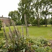 The Walks (Gardens) - The Honourable Society of Gray's Inn