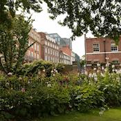 The Honourable Society of Gray's Inn