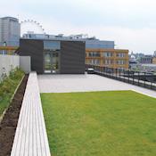 Roof Terrace - Coin Street Conference Centre