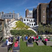 The Terrace - 41 Portland Place