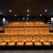 Screen 2 - Curzon Aldgate