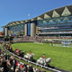 Racecourses Picture